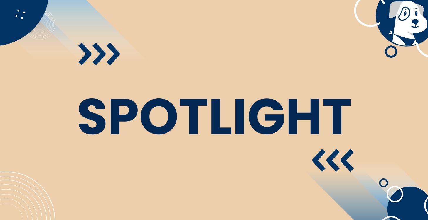Spotlights