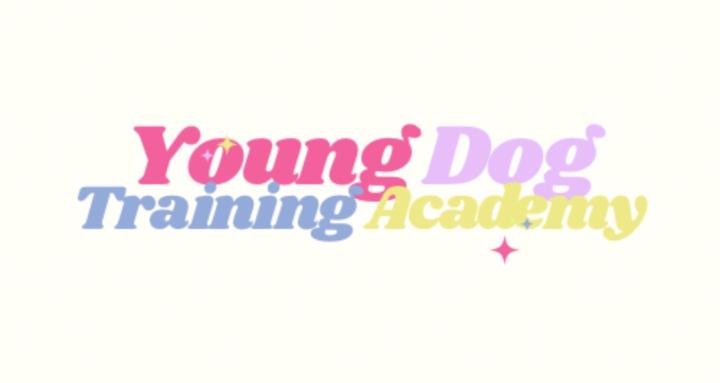 Young Dog Training Academy