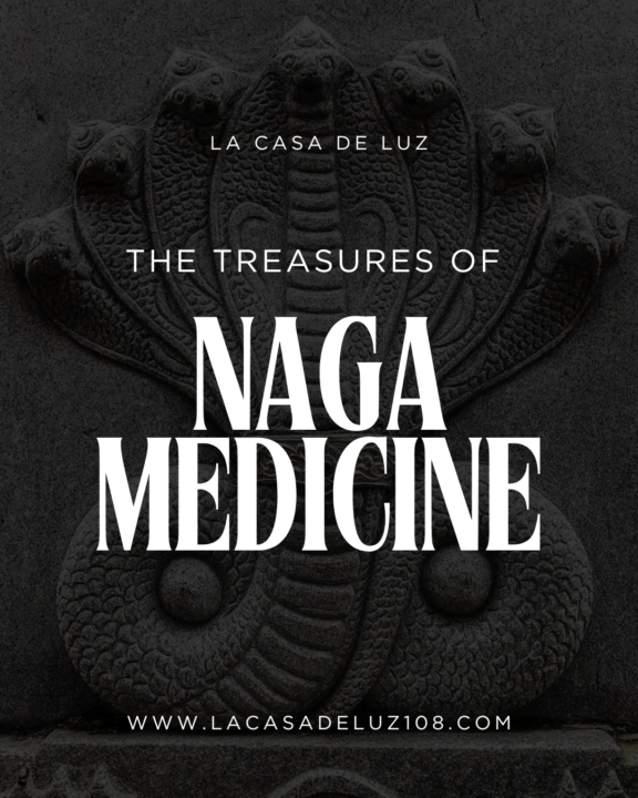 Let yourself be seen. [Sunday Workshop] 