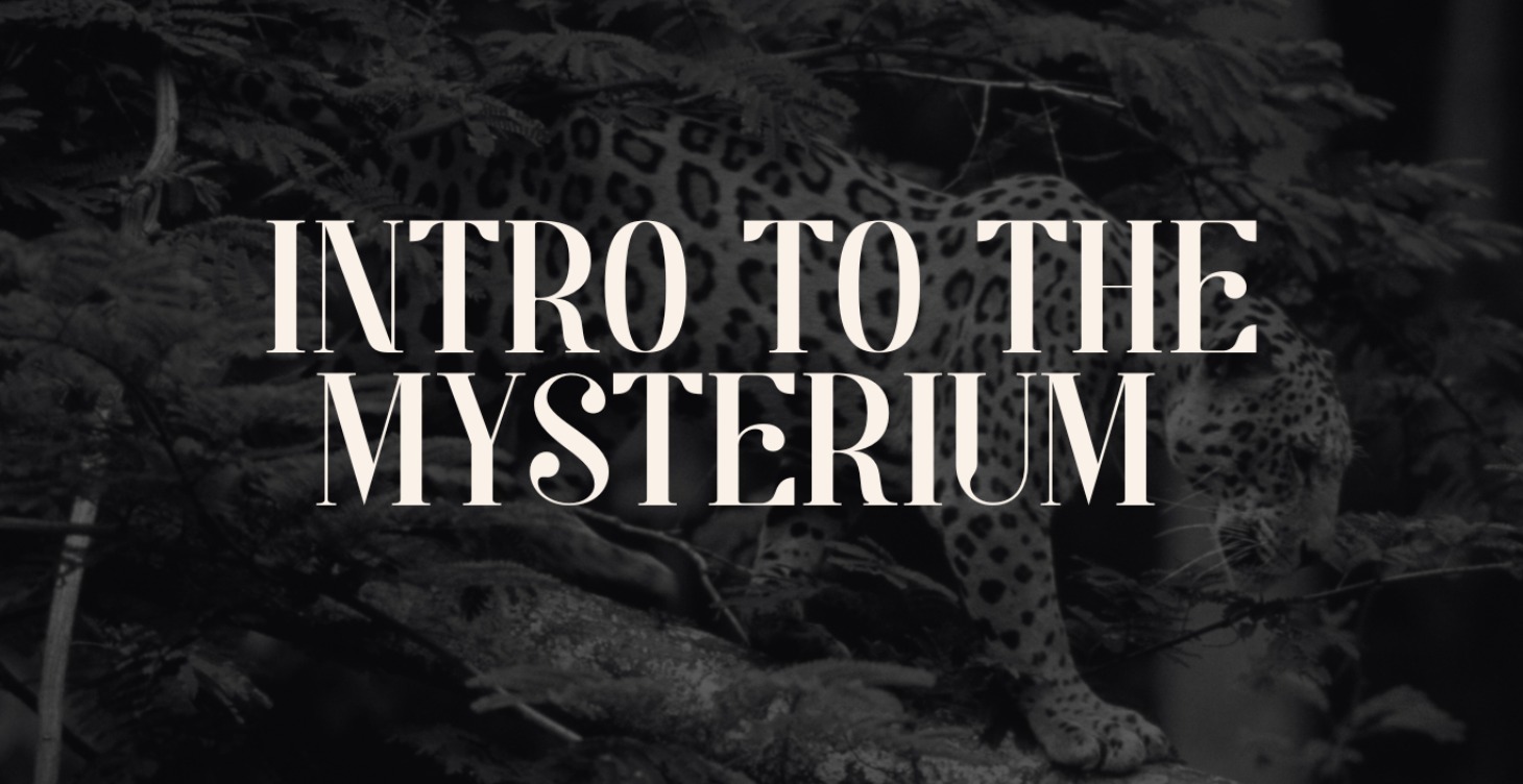 🔐 The Mysterium Introduction