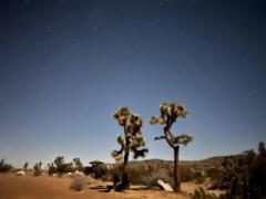 Vijayalakshmi Vasudevan