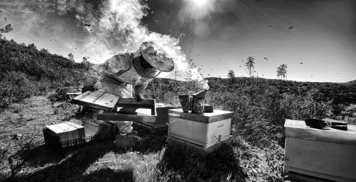 What's one thing you want your audience to know about you?