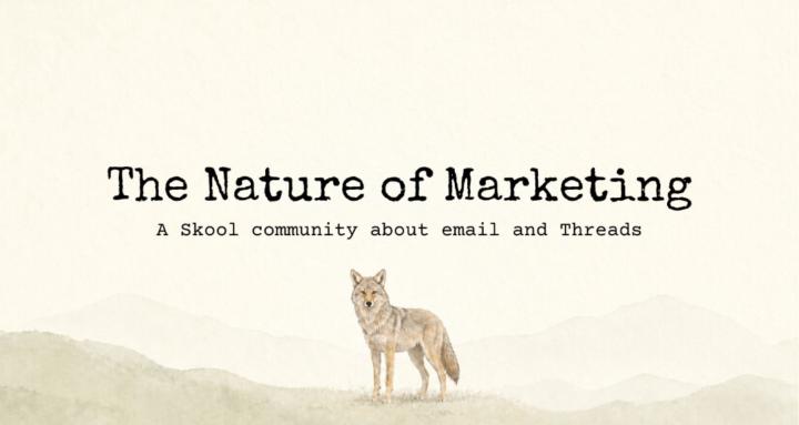 The Nature of Marketing