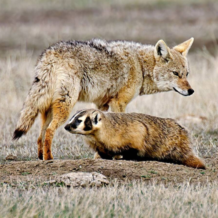 What happened in your business this week?