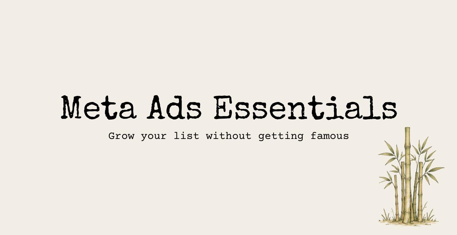 Meta Ads Essentials