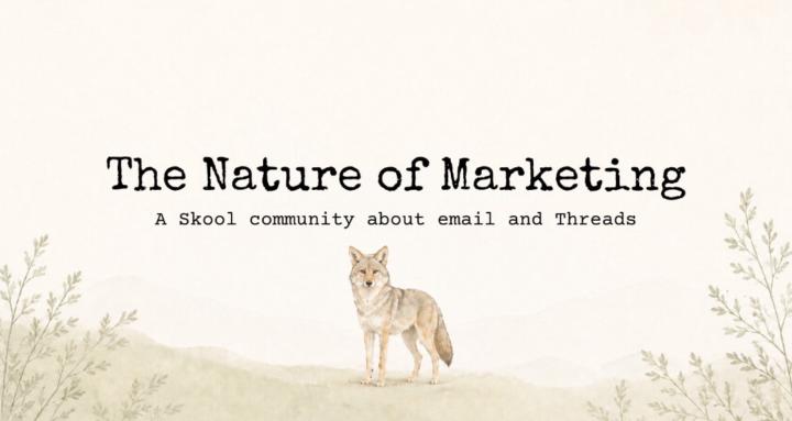 The Nature of Marketing
