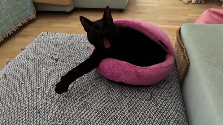 Martina Krajňáková