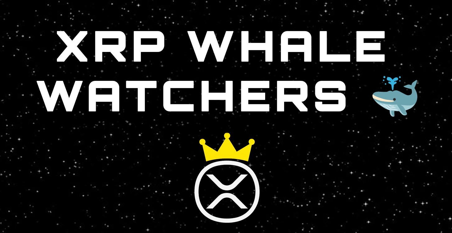 XRP Whale Watchers