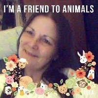 Tina Lowell
