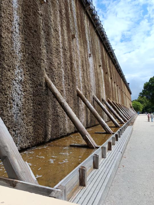 ☀️ Wie habt ihr euren Sonntag verbracht? ☀️
