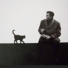 سديم شريف