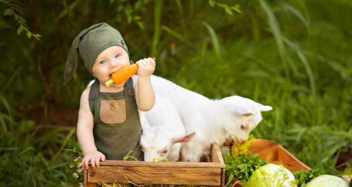 Landwirte & Lösungen