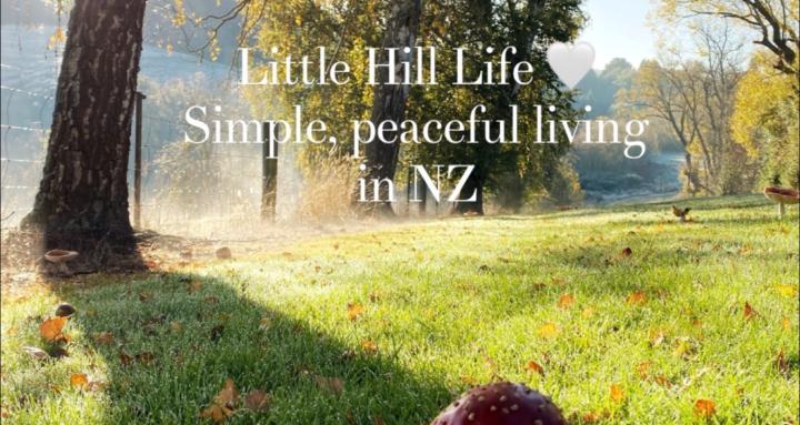 Little Hill Life