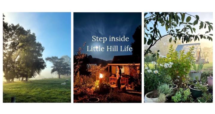 Little Hill Life