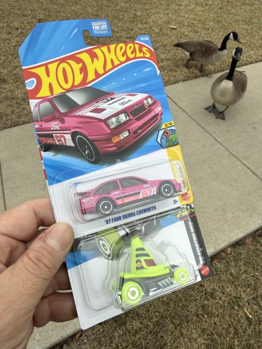 Tuesday Hunting STHs