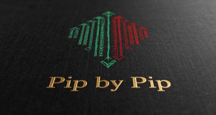 Pip by Pip