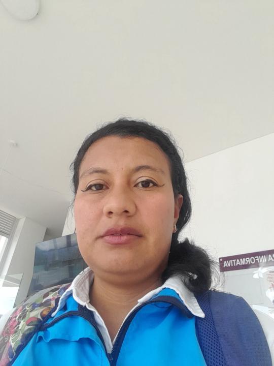 Lisedtapia Lisedtapia