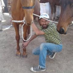 Syed Bilal Ali