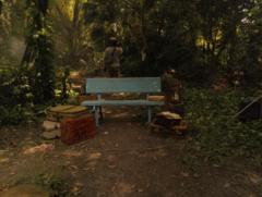 Chidchanok Phunphain