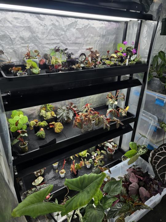 Spring reset is underway
