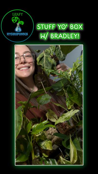 Bradley's selling Matt's plants today 🫣😜