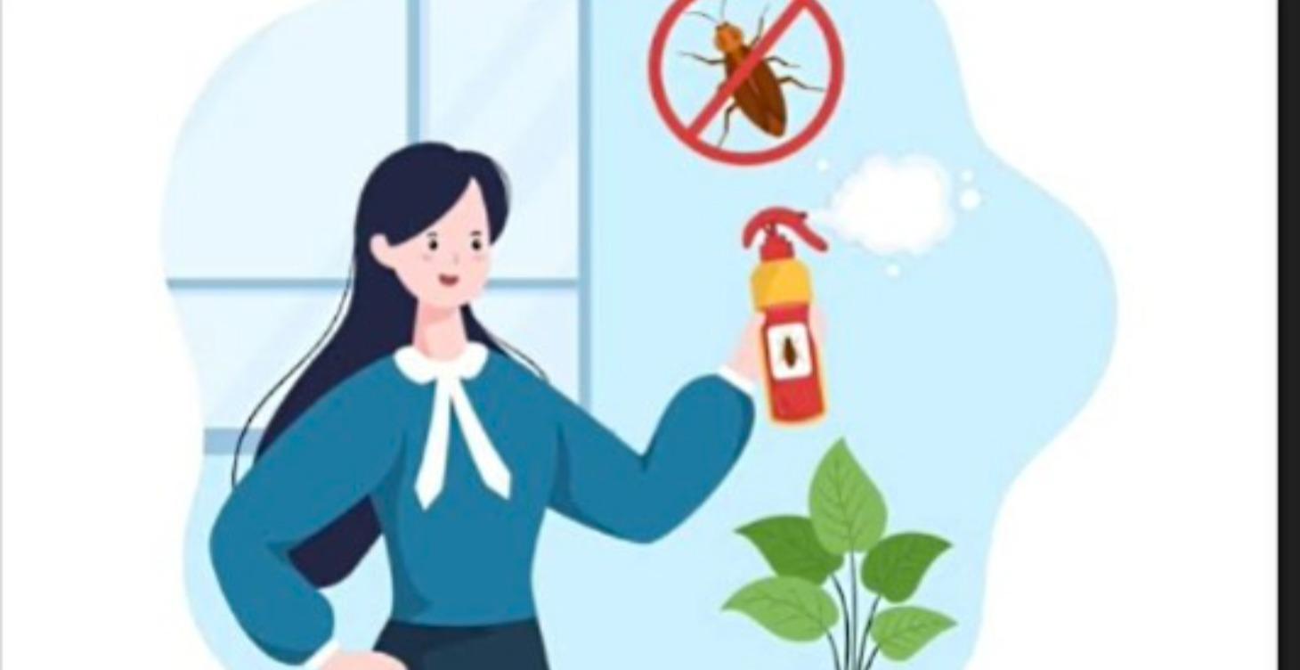 Coming Soon! Pest Prevention and Treatment.