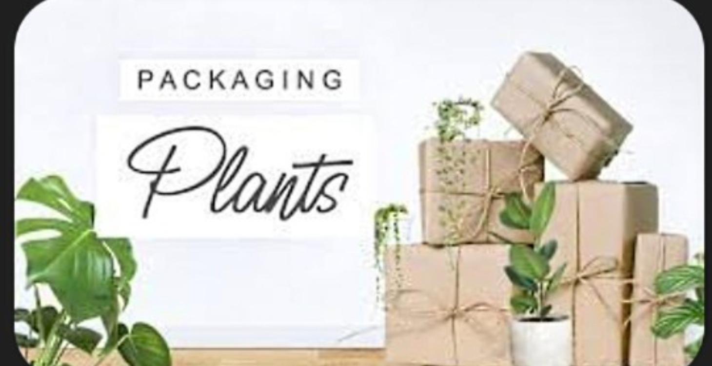 Coming soon: Packing & Shipping Plants!