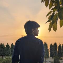 Haseeb Noaman