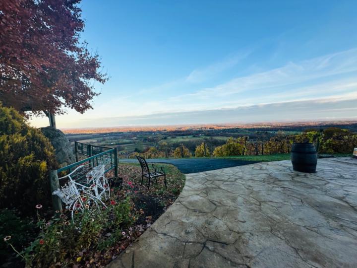 Harshita Vallurupalli