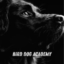 Bird Dog Academy