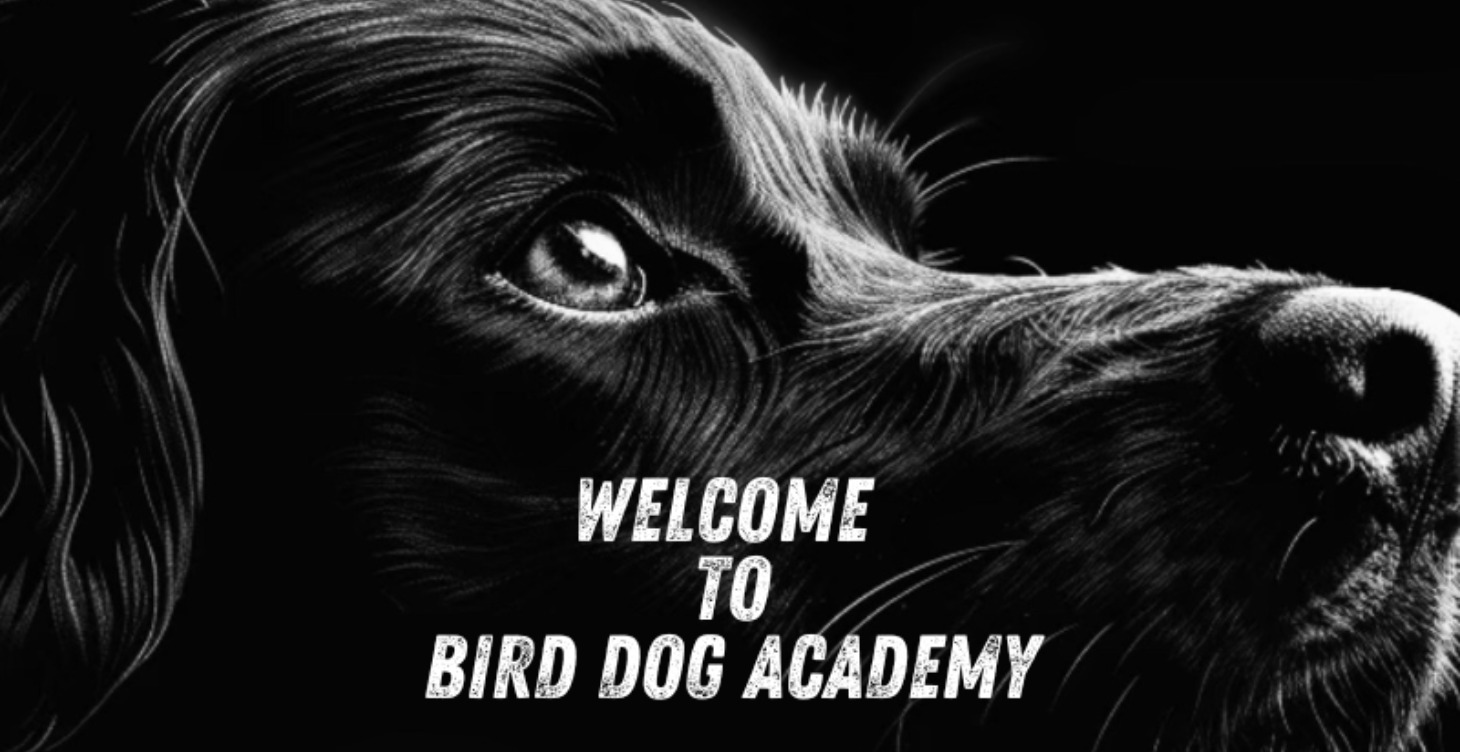 Welcome to Bird Dog ™Academy