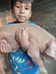 Daniel Bejarano Velasco