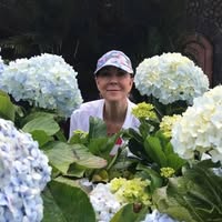 Deb Walter Laws