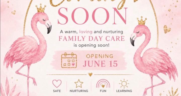 Little Flamingos Day Care 
