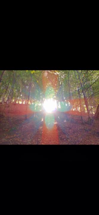 Monika Feichtingerová