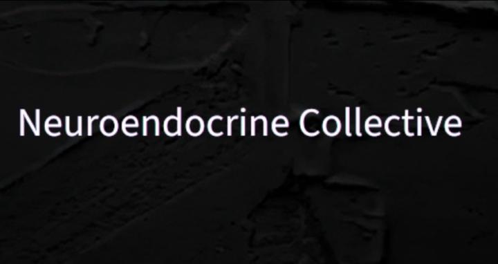Neuroendocrine Collective