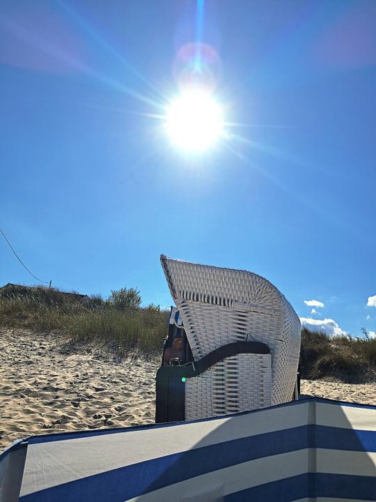 Monique Zemlin