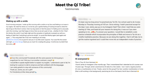 Qi Tribe gallery image