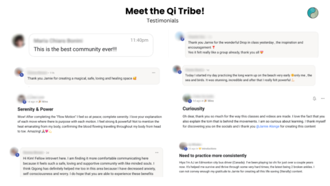 Qi Tribe gallery image