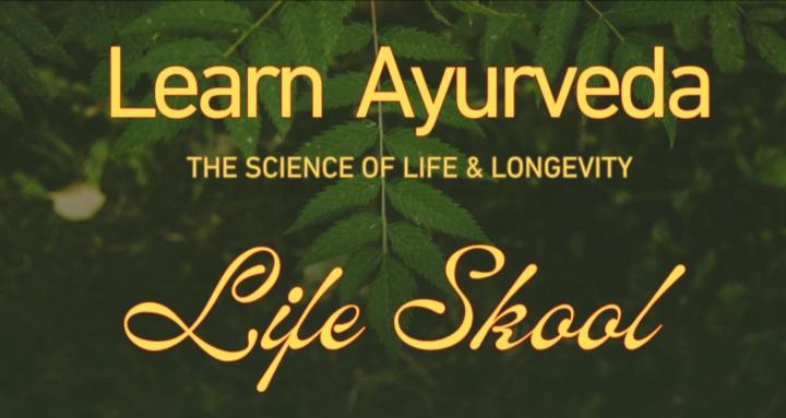 Life Skool