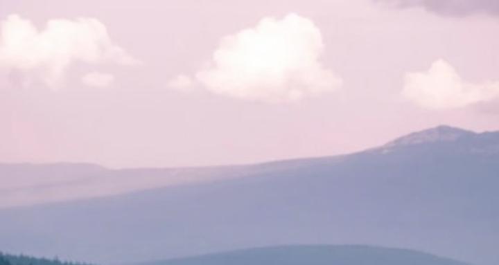 Estranged Parents and Children