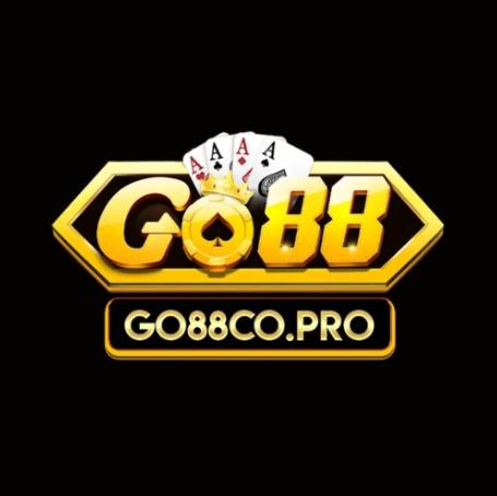 Go co Pro