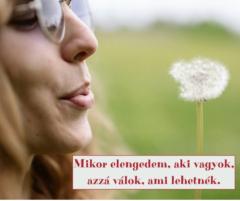 Buzogány Ildikó