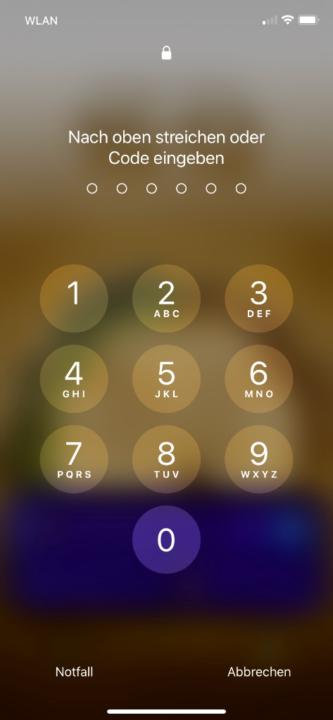 Johanna van Ankum-Wiesel