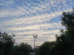 Umesh Kanth