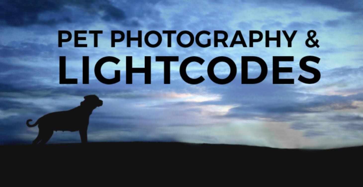 Pet Photography & Lightcode Activations