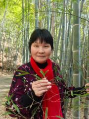 Tianhong Shi