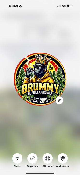 Brummy Guerilla