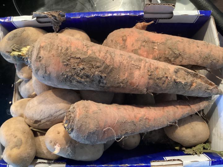 Please enjoy this video about Paris!