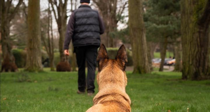 Mali K9 Training